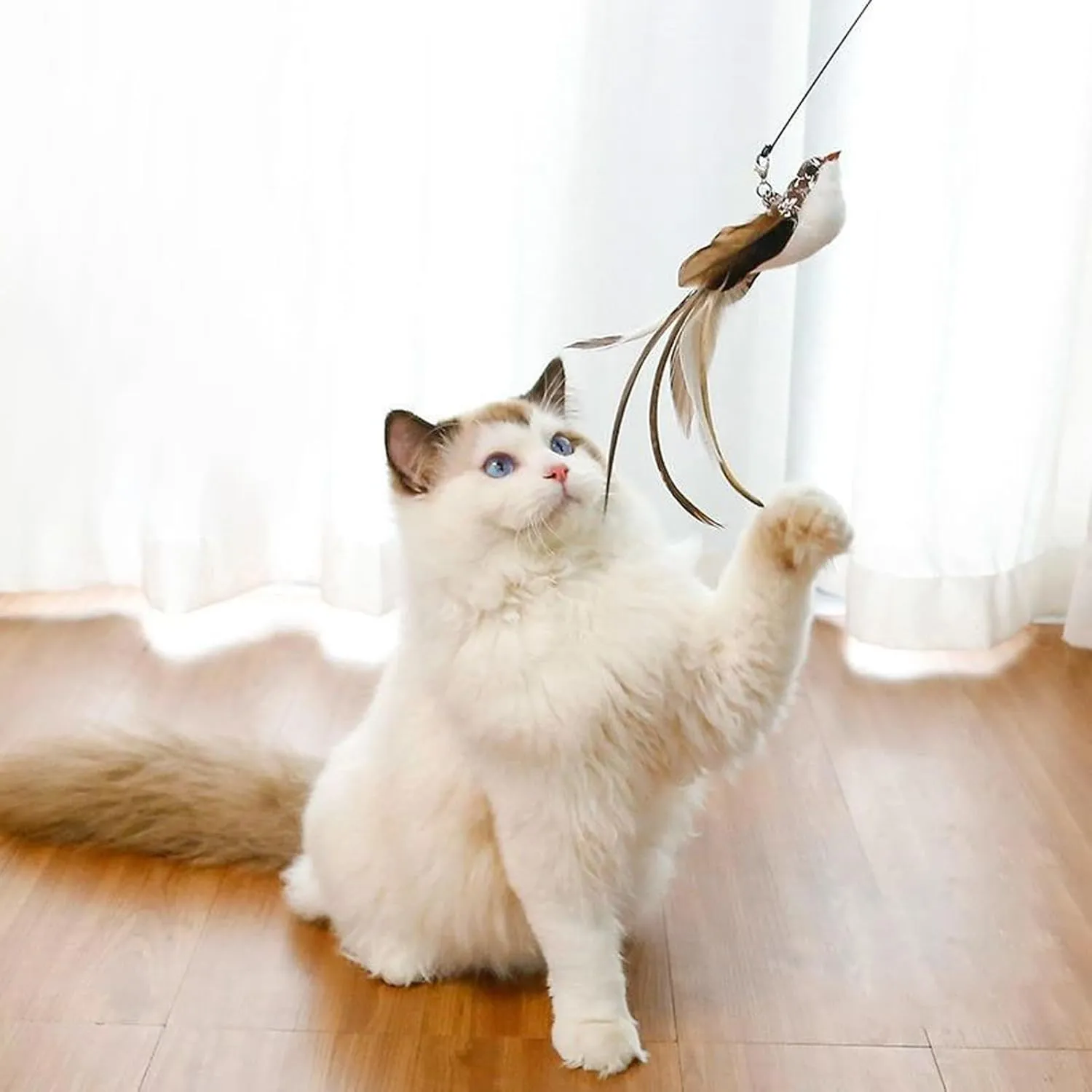 8 Pieces Cat Feather Toys Replacement Bird Insect Cat Toy with Flexible Steel Wires Wand Refills Cats Toy Replacement Natural Bird Feathers for Cats Toys