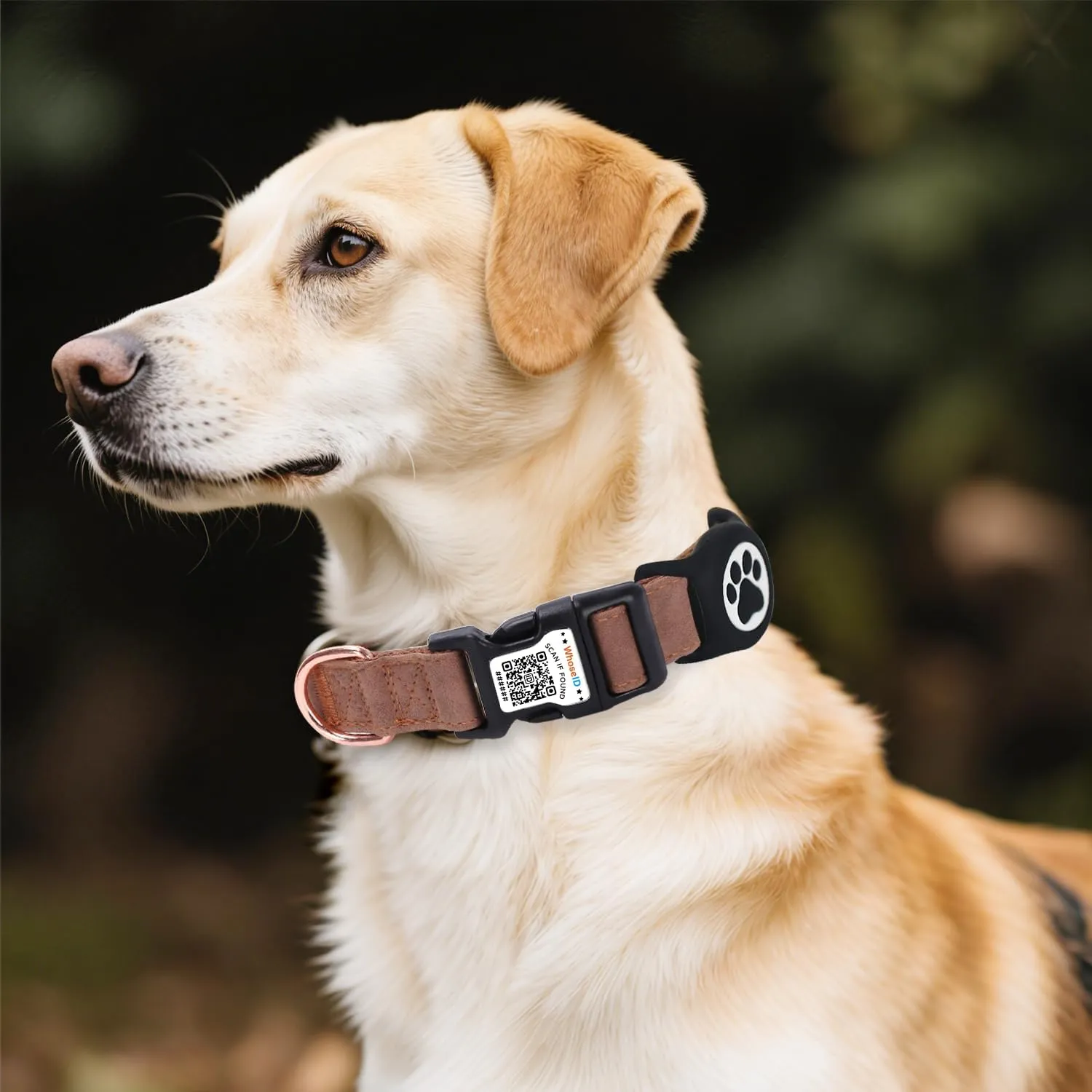 Airtag Dog Collar with QR Code Buckle, Leather Dog Collars with Waterproof Air Tag Holder Adjustable Soft Padded Fit for Girl/Boy/Small/Medium/Large Pet (Brown, Large Dogs)