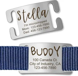 Anavia Slide On Silent Pet ID Tags, S/M/L/XL Personalized Gold Black Stainless Steel Customized Engraved Cat Dog Name Tags, Glossy Finish Chew-Proof Quiet Dog Collar Tag (Small, Silver)
