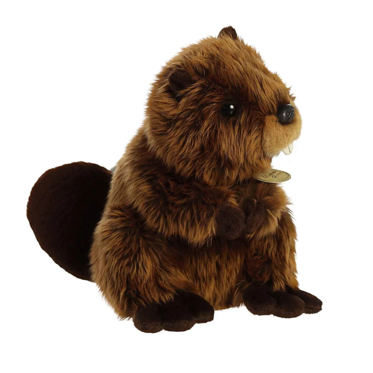 Beaver