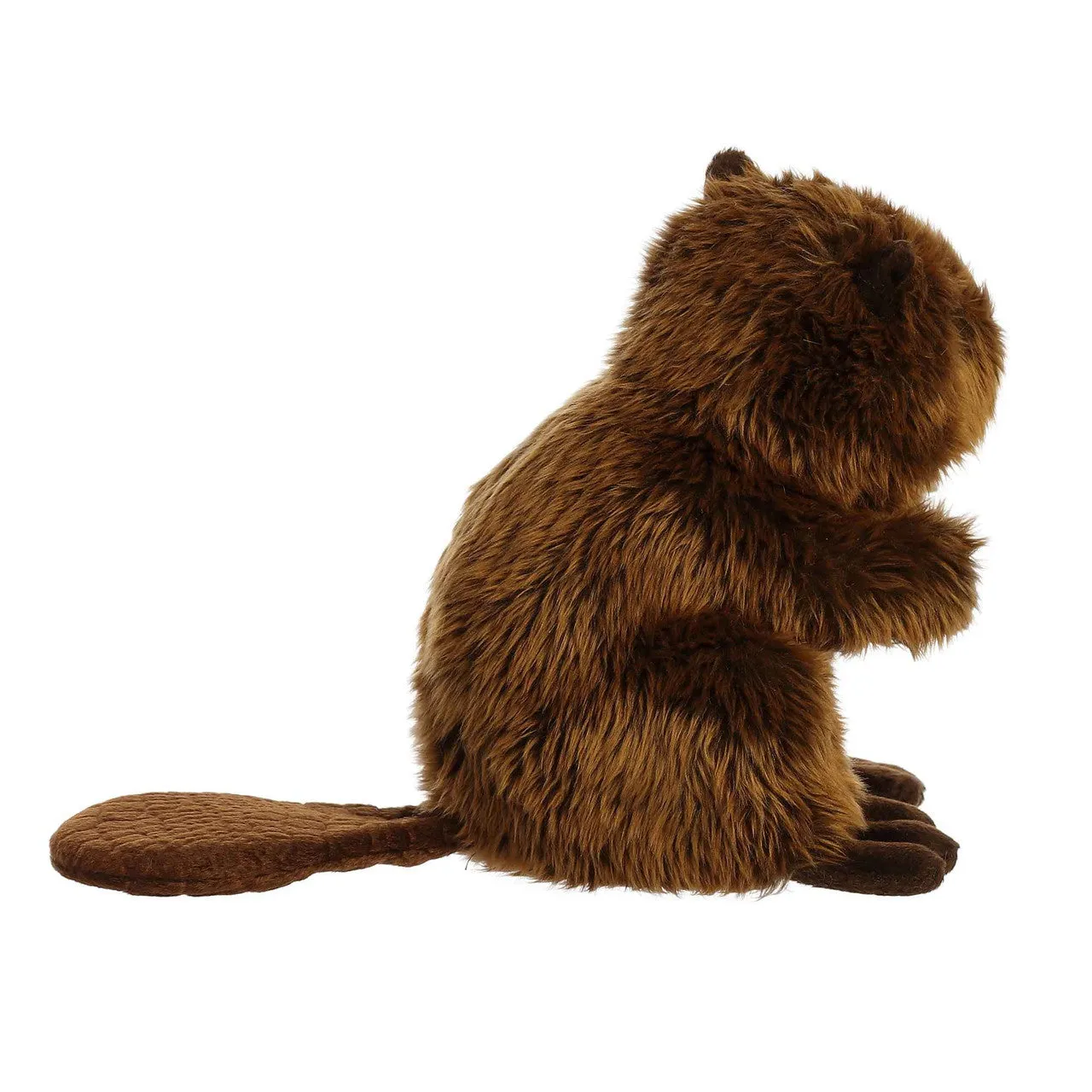 Beaver