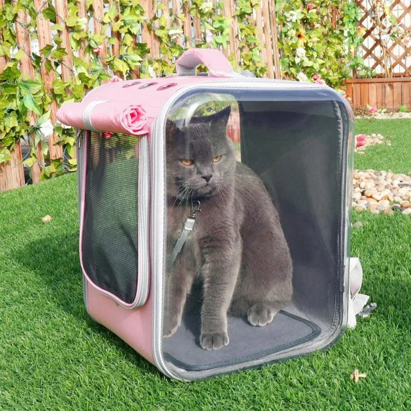 Breathable Bubble Cat Carrier Backpack - Portable Travel Outdoor Shoulder Bag For Small Dogs And Cats by Dog Hugs Cat