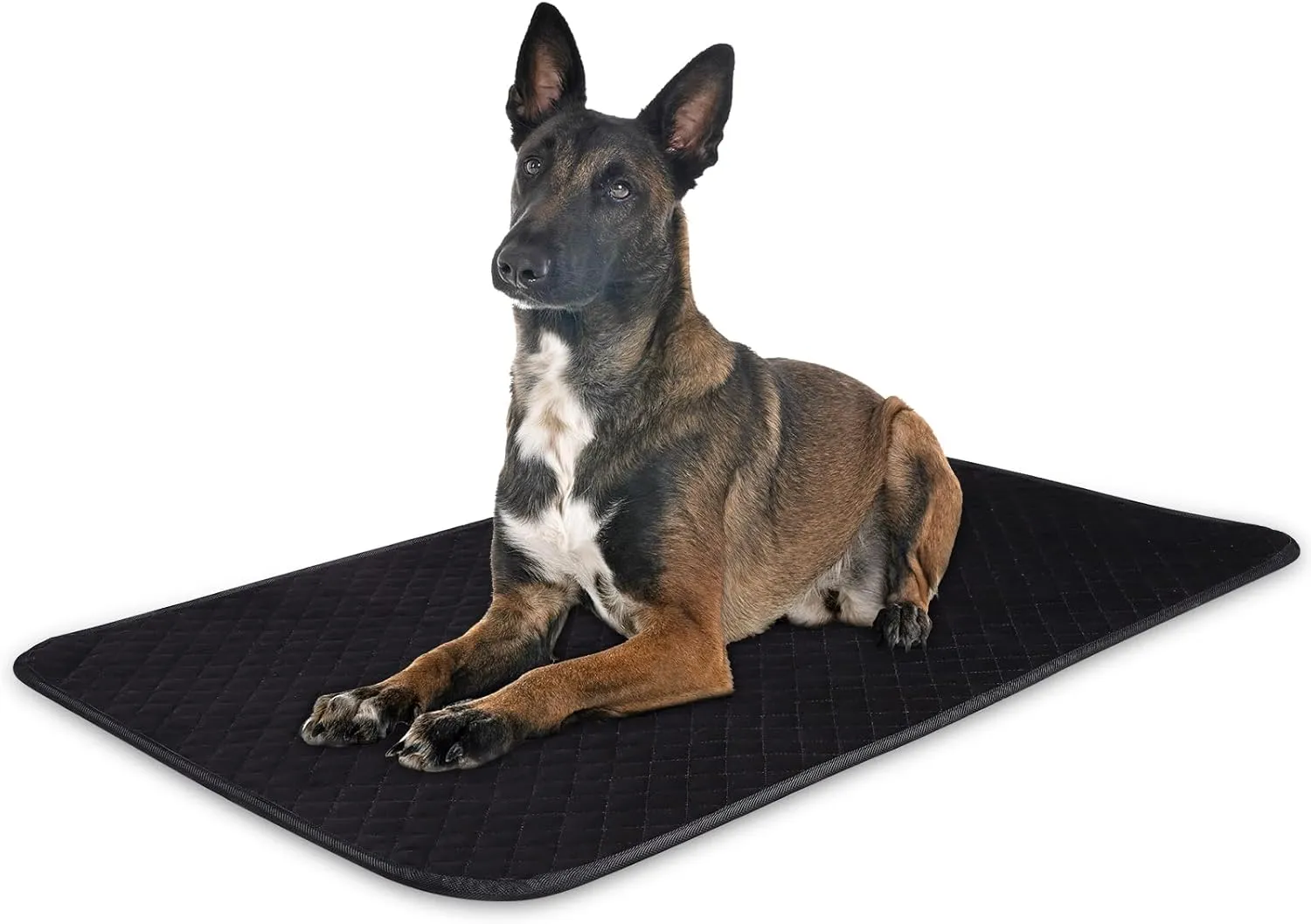Chew Proof Dog Crate Bed Pad, Enhanced Quilted Indestructible Dog Kennel Pad for Aggressive Chewers, Washable Dogs Mat for Crate, Water Resistant Kennel Pads for Teething Puppy (Black, 40"x27")