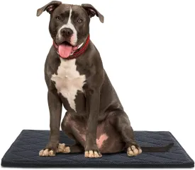 Chew Proof Dog Crate Bed Pad - Indestructible & Water Resistant for Aggressive Chewers, Durable Design for Dog Cage