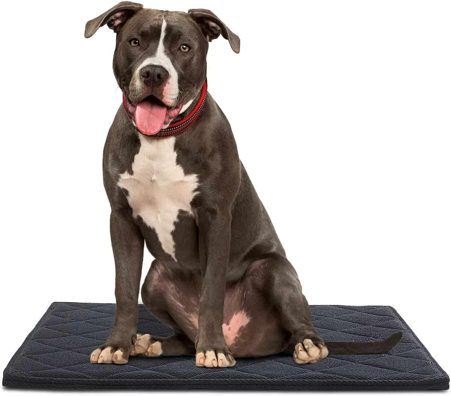 Chew Proof Dog Crate Bed Pad - Indestructible & Water Resistant for Aggressive Chewers, Durable Design for Dog Cage