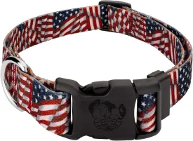 Country Brook Petz 1 Inch Deluxe Adjustable Dog Collar for Small, Medium, Large Breeds - Americana Collection with Patriotic Designs (Patriotic Tribute, Extra Large)