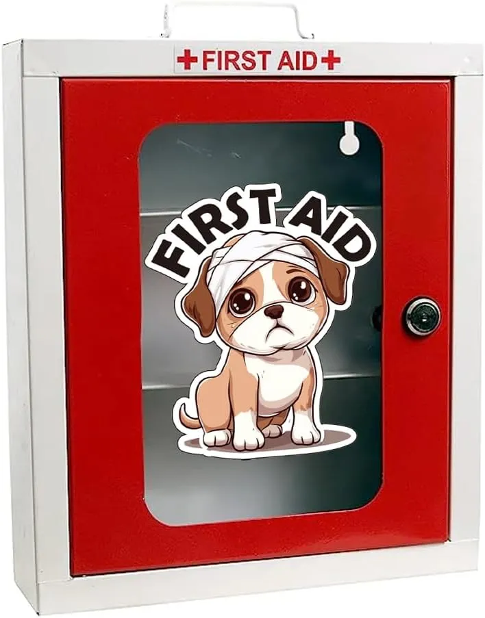 First Aid Decals (4 Pieces), 4 Inches  Strong Adhesive, Durable, Waterproof  Ideal for First Aid Boxes, Emergency Kits, Medical Alert Equipment, and Medical Supplies