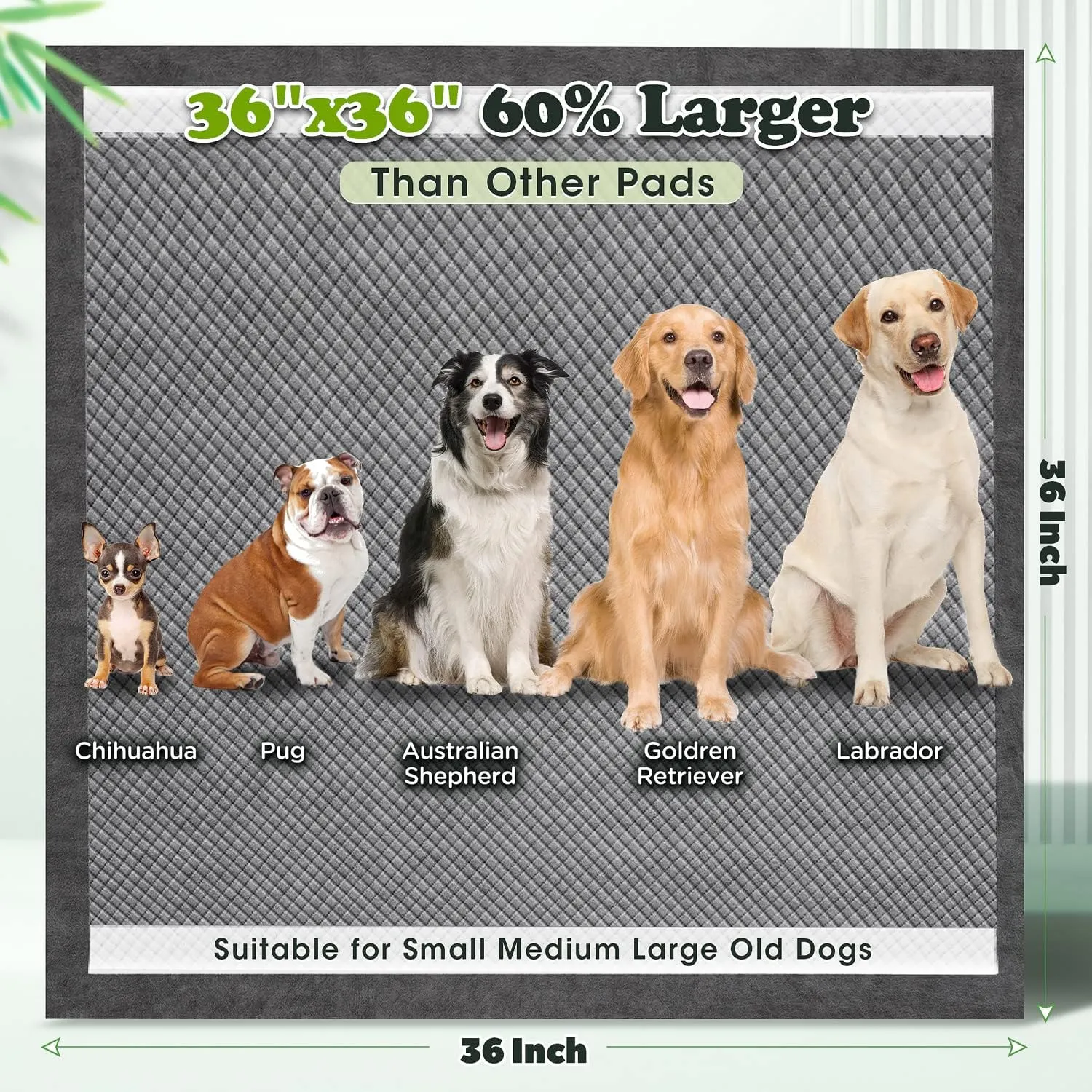 Gimars Upgrade Odor Control 4XL 36x36 Extra Large Thicken 9 Layers Extra Absorbent Charcoal Pee Pads for Dogs - Leak Proof Dog Training Pads Quick Dry - 30 Counts