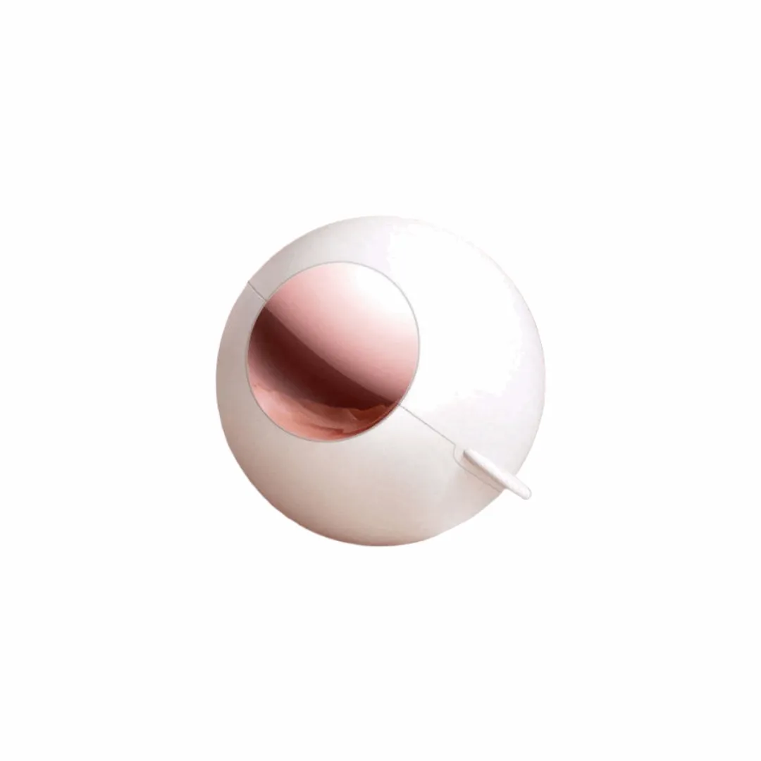 Hair Remover Roller Ball