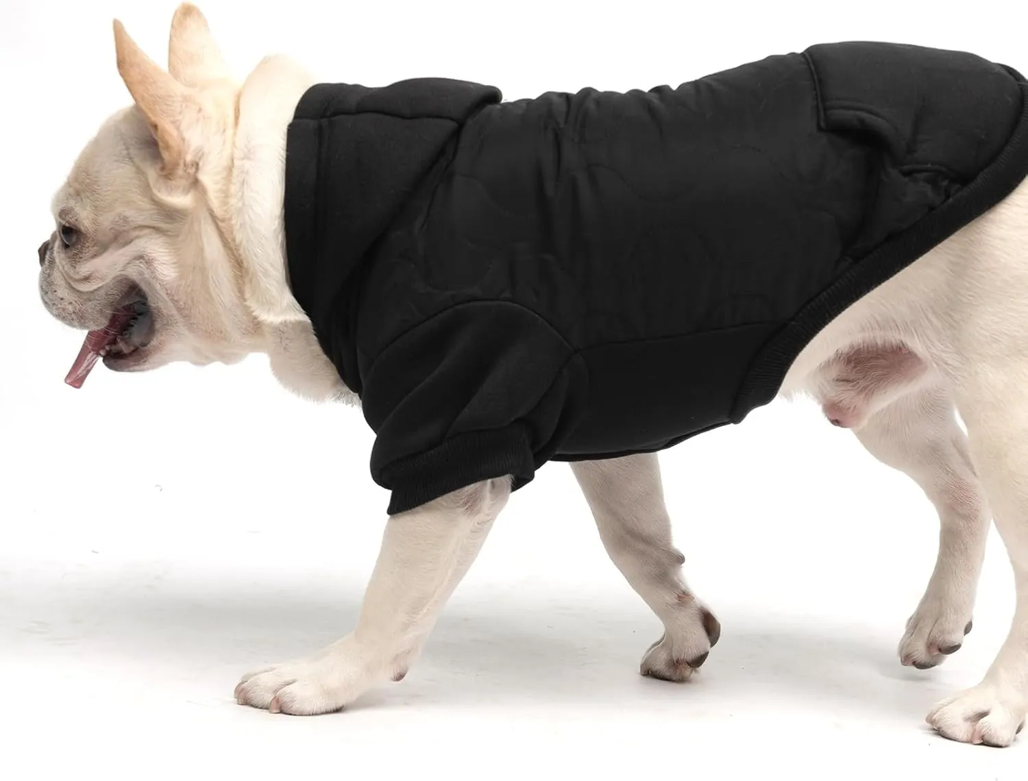 KOOLTAIL Warm Dog Winter Coat for Small Dogs, Waterproof Dog Jacket with Leash Hole, Cold Weather Dog Vest for Winter, Soft Pet Hoodie Sweater Sweatshirt Clothes for Puppy Cats Girls Boys Black L