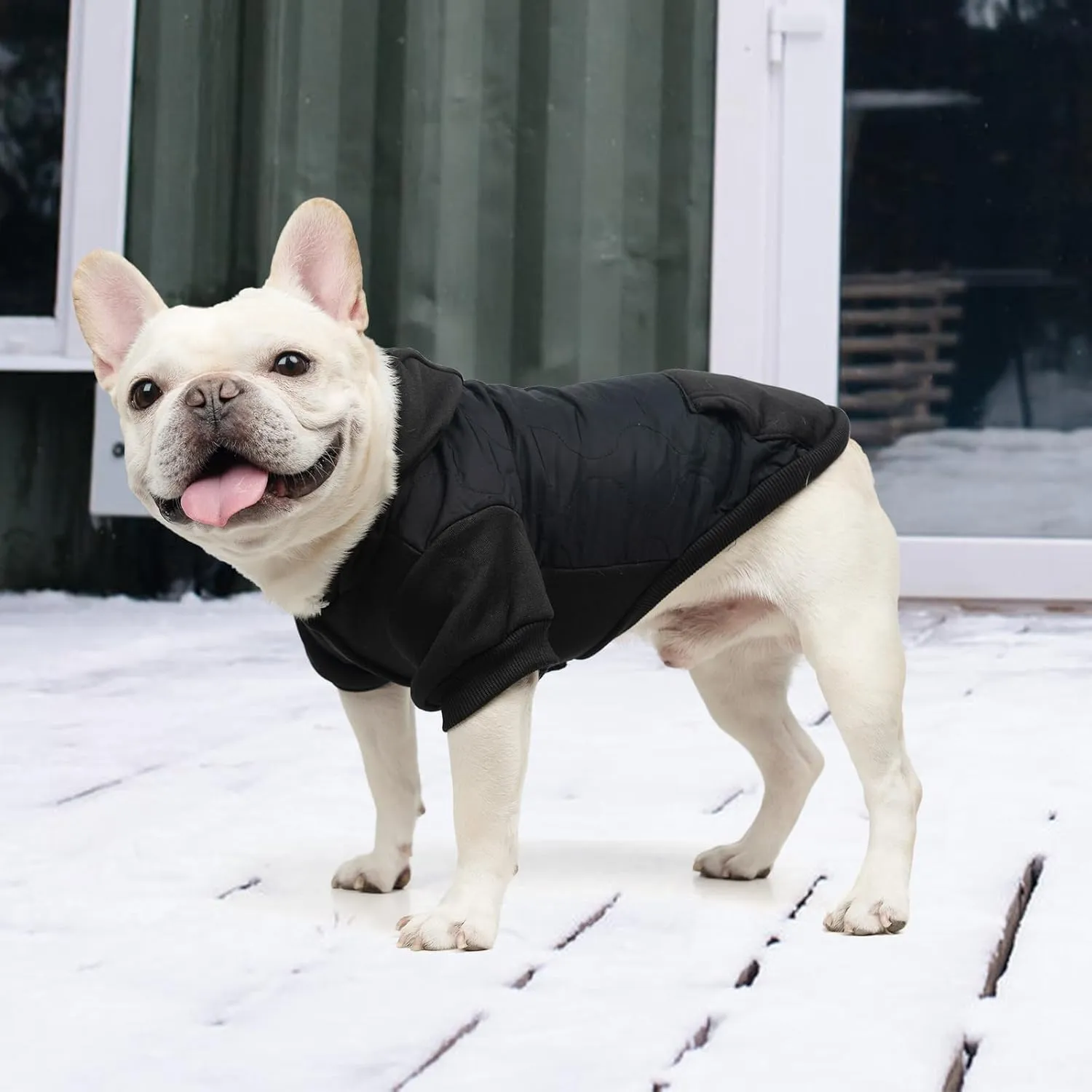 KOOLTAIL Warm Dog Winter Coat for Small Dogs, Waterproof Dog Jacket with Leash Hole, Cold Weather Dog Vest for Winter, Soft Pet Hoodie Sweater Sweatshirt Clothes for Puppy Cats Girls Boys Black L