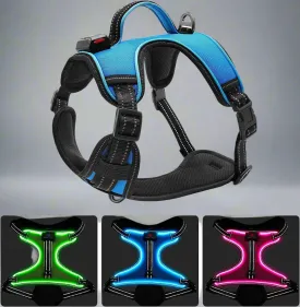 LED Dog Adjustable Harness