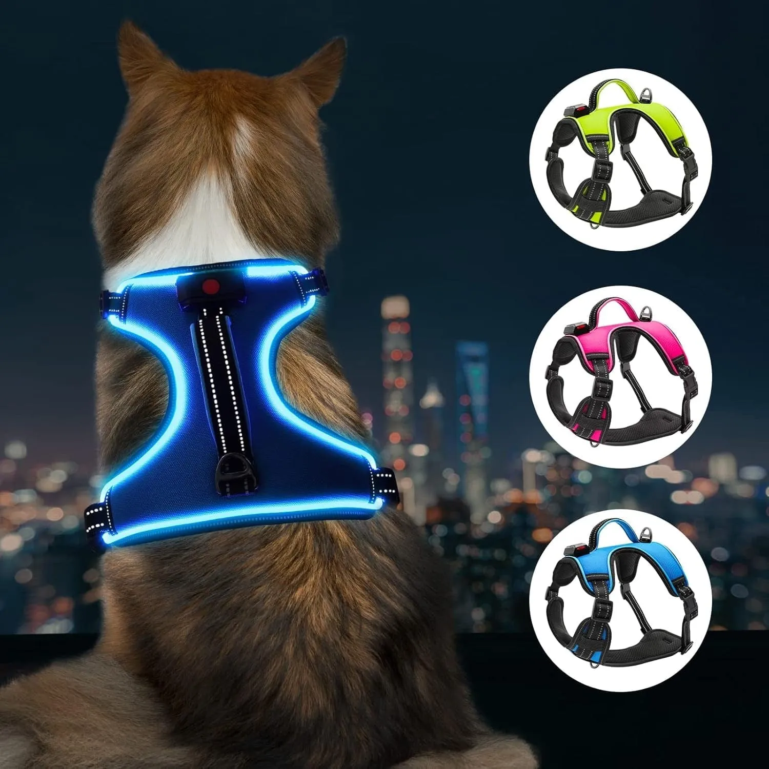 LED Dog Adjustable Harness