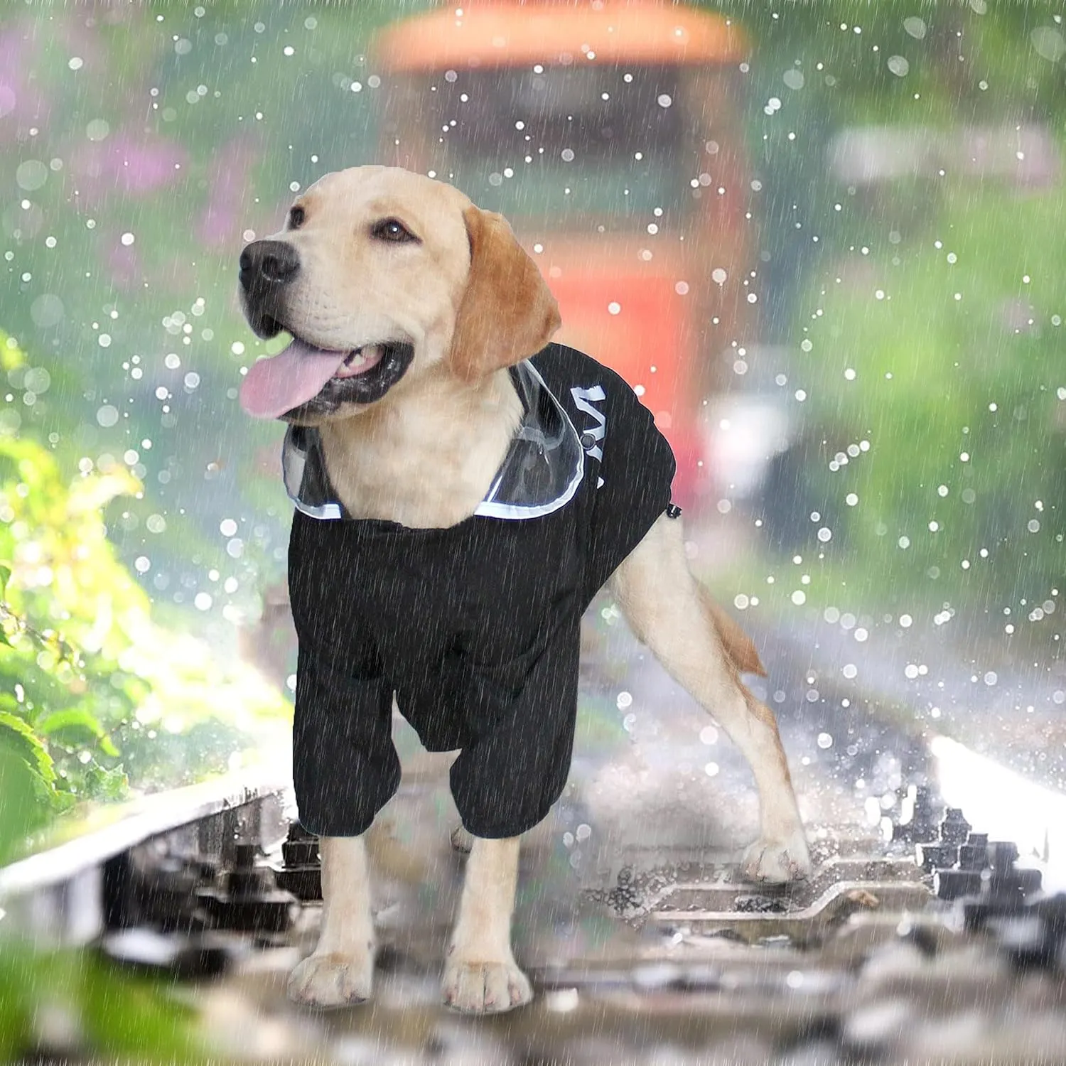 Mamore Dog Raincoat with Clear Hood and 2 Legs, Adjustable Jacket with Bottom Waterproofing and Reflective Stripe for Small to Large Dogs (Orange, X-Small)