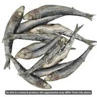 Meaty Treaty Freeze Dried Australian Whole Sardines Treats (100g)