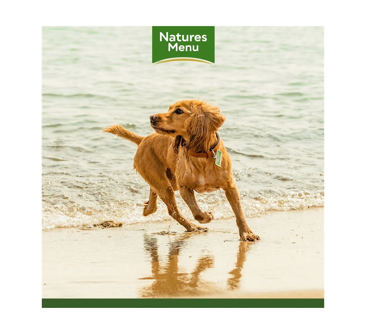 Natures Menu - Original Chicken with Vegetables - 400g