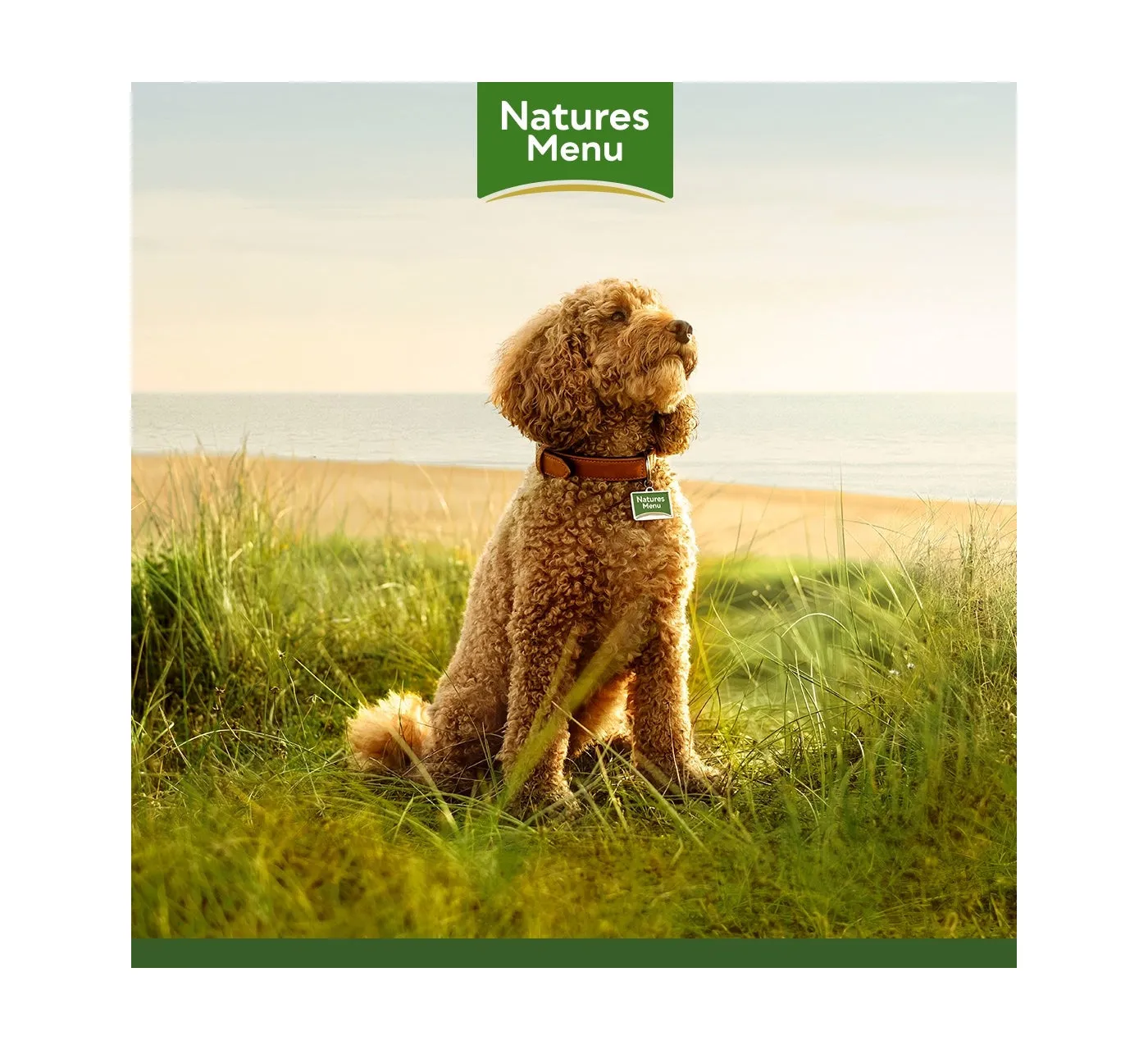 Natures Menu - Original Chicken with Vegetables - 400g