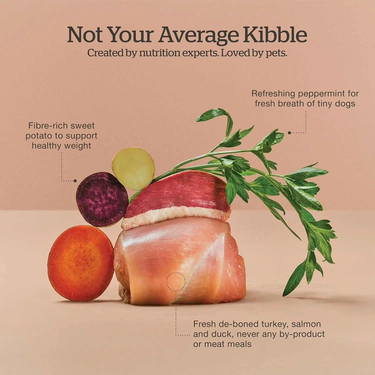 Now Fresh Grain-Free, Dry Dog Food, Small Breed Kibble, Real Meat and Fish, Turkey, Salmon and Duck Adult Recipe, 12 lb Bag