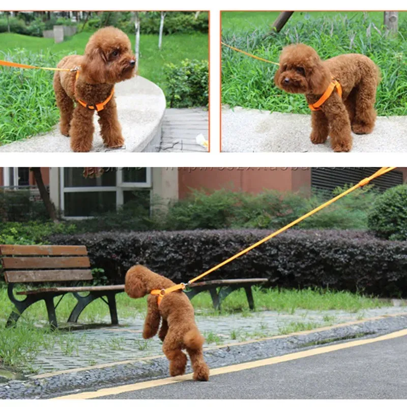 Pet Safety LED Adjustable Leash Set Flashing Light Harness Collar for Dogs