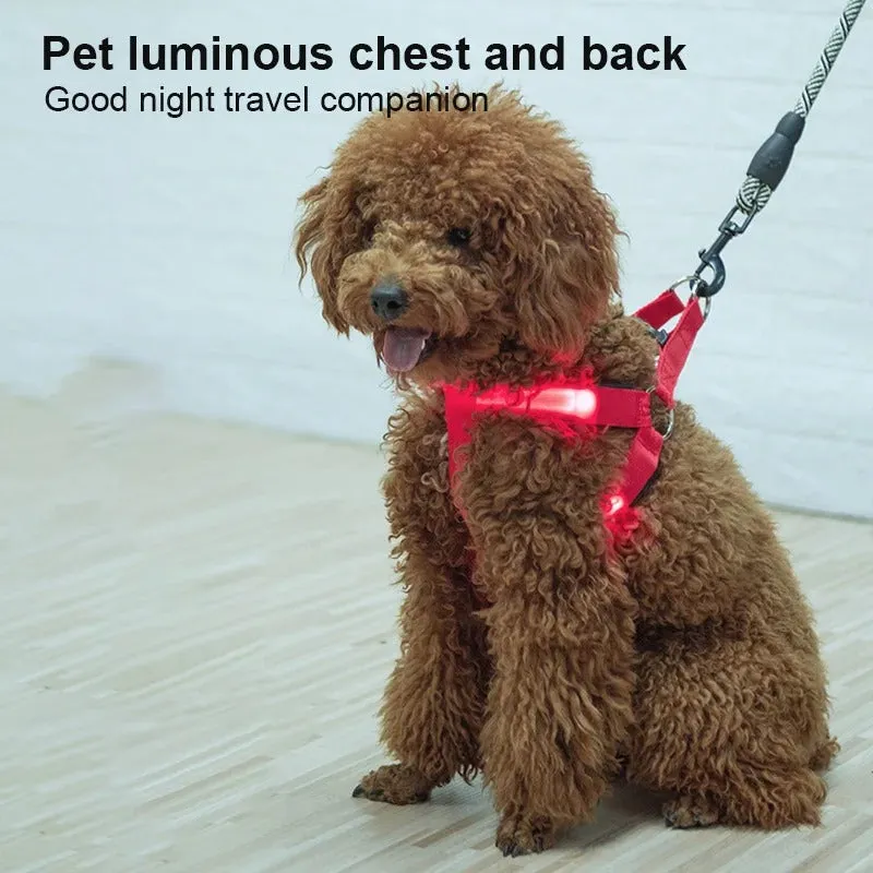 Pet Safety LED Adjustable Leash Set Flashing Light Harness Collar for Dogs
