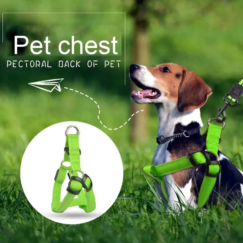 Pet Safety LED Adjustable Leash Set Flashing Light Harness Collar for Dogs