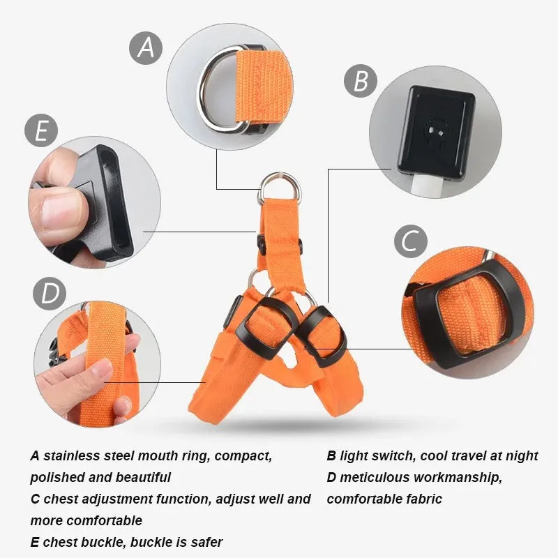 Pet Safety LED Adjustable Leash Set Flashing Light Harness Collar for Dogs
