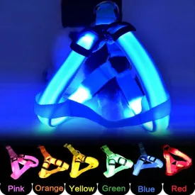 Pet Safety LED Adjustable Leash Set Flashing Light Harness Collar for Dogs