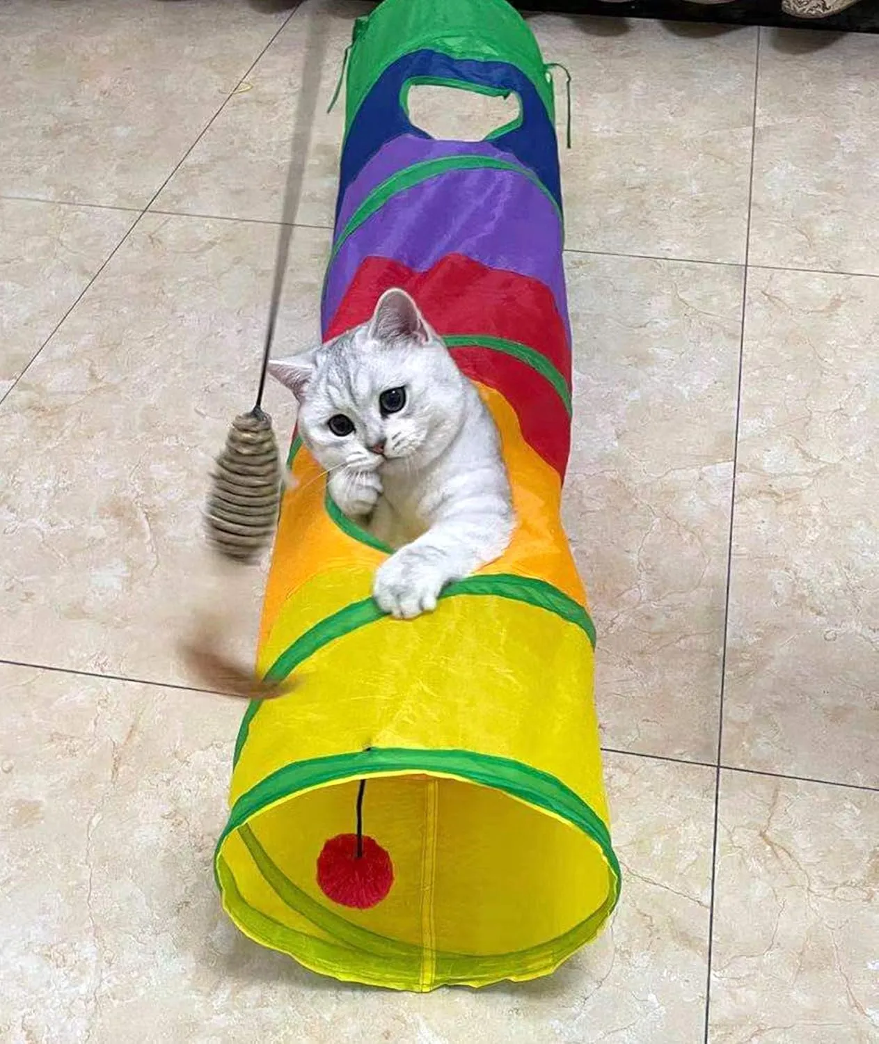 PetLike    