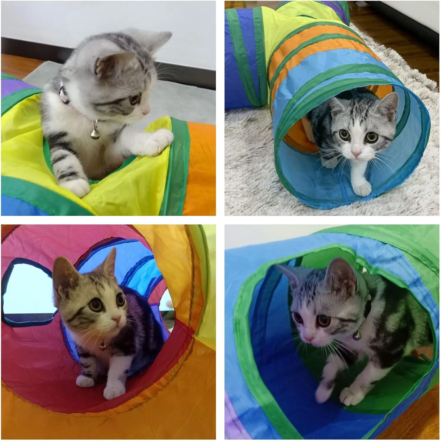 PetLike    