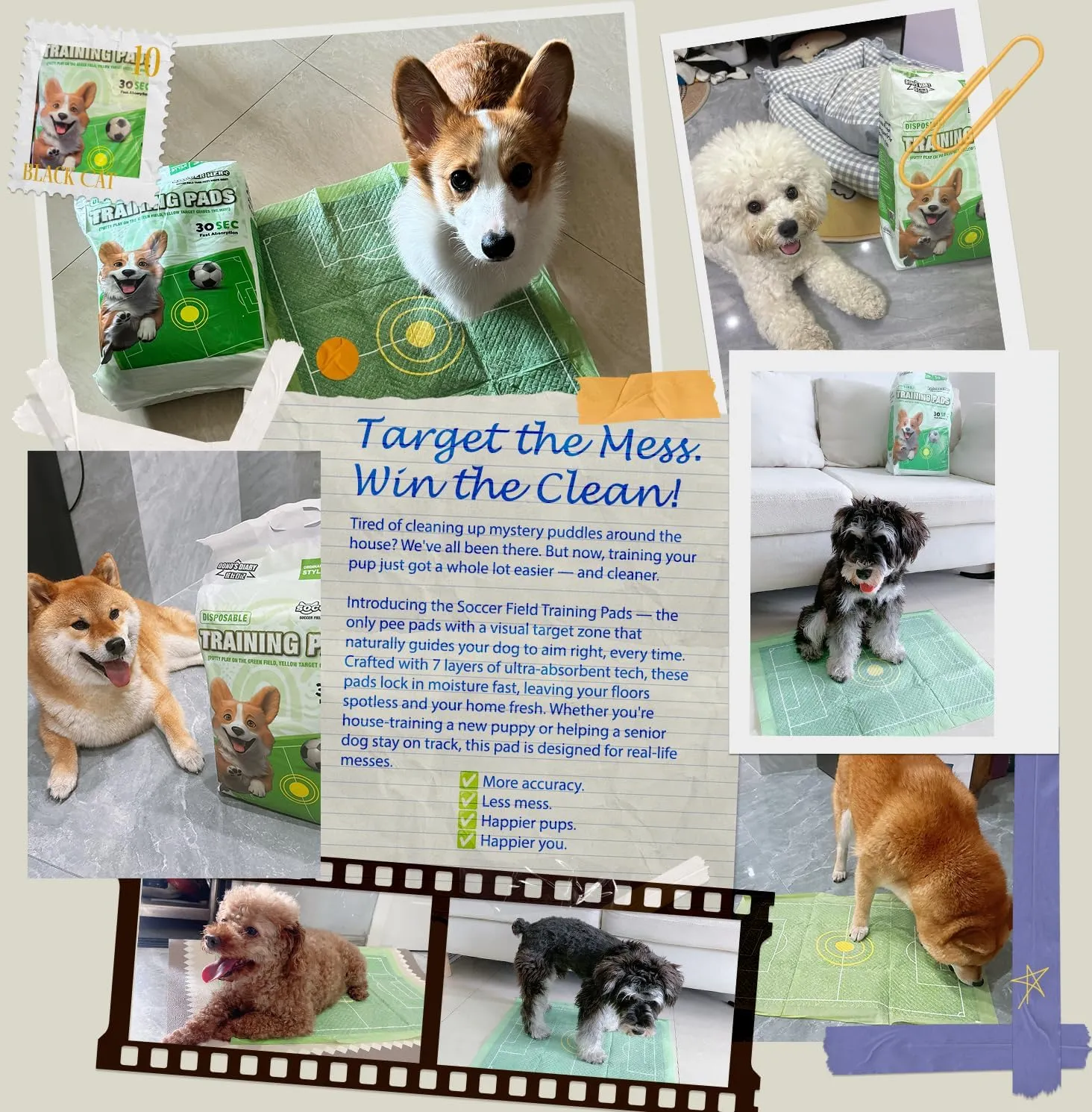 Puppy Training Pee Pads for Indoor Use  Grass Green Design with Target Zone, Quick Dry, Leak-Proof (Bullseye Induction-Four-Corner Stickers,S: 13 * 18 in,1)