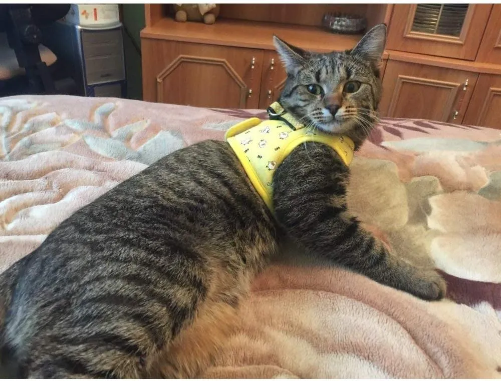 Small Pet Summer Spring Cute Cartoon Harness Vest and Matching Polka Dots Lead Leash Set Breathable Soft Mesh Padded Adjustable Chest Strap Hareness for Puppy Kitten Small Animal, Yellow
