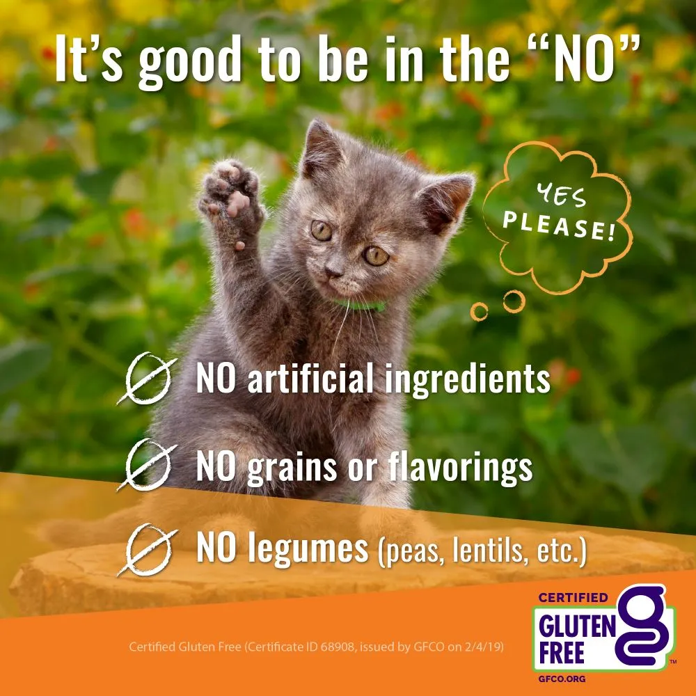 Vital Essentials Vital Cat Freeze Dried Grain Free Chicken Breast Cat Treats