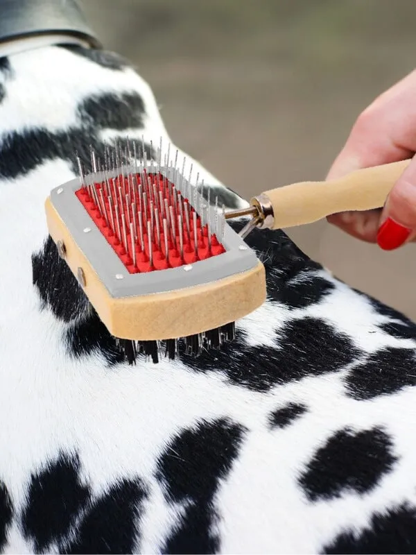 Wooden Dog Brush with Hard and Soft Bristles - Double Sided Brush